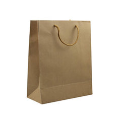 Eco-Friendly Paper Bag (Medium)
