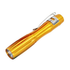 Coloured Torch Light With Metal Clip (Small)