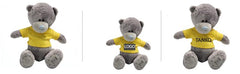 20cm Ultra-Soft Tatty Teddy Plush Toy
