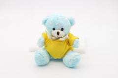 16cm Teddy Bear Plush Toy With Colourful Fur