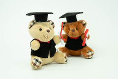 Graduation Bear Soft Toy