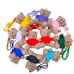 11cm T-Shirt Bear Keychain (Deliver in 4-6 weeks)
