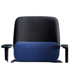 Lumbar Support Backrest Pillow (Deliver in 4-6 weeks)