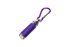 Coloured Mini Torch Light With Matching Carabiner