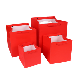 Square Paper Gift Bag (Deliver in 4-6 weeks)