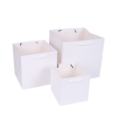 Square Paper Gift Bag (Deliver in 4-6 weeks)