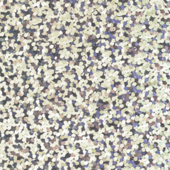 Gimme5 - L796A - SILVER GLAM