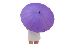 Umbrella