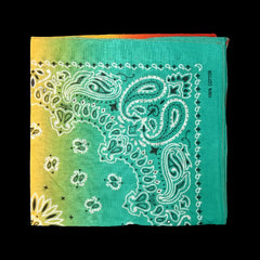 12 Piece bandana Pack