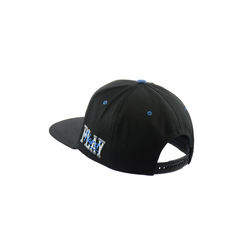 BASEBALL Hat Embroidered Snapback Hat