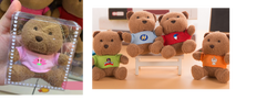 Customised Plush Toy Keychain (Preorder)