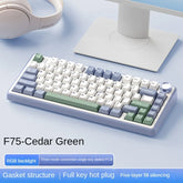 Aula F75 Mechanical Keyboard 80 Key