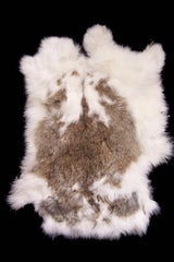 NATURAL SPOTTED RABBIT SKIN PELT (Sold by the piece OR dozen )