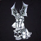GARGOYLE ON SKULL 45 INCH WALL BANNER / FLAG (Sold by the piece) -* CLOSEOUT ONLY $2.95 EA