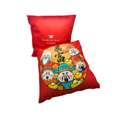 Customised 45 x 45cm Pillow (Preorder)