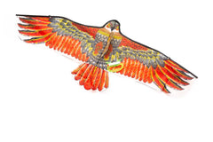 Eagle Design Kite