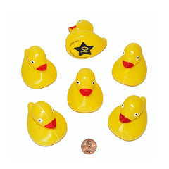 Matching Duck Game (20/package) 67?› each
