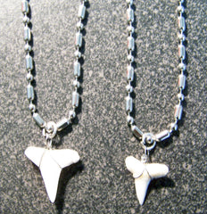 STAINLESS STEEL BALL CHAIN NECKLACE W WIRE WRAPPED REAL SHARK TOOTH PENDANT ( sold by the peice or dozen )