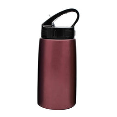 Stainless Steel Drinking Bottle With Handle And Spout