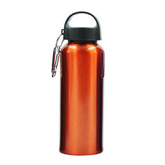 Stainless Steel Drinking Bottle With Broad Handle And Clip