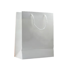 Eco-Friendly Paper Bag (Medium)