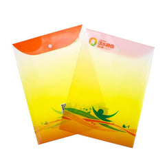 Snap Folders