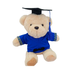 25cm Graduation Gown Bear (Deliver in 4-6 weeks)