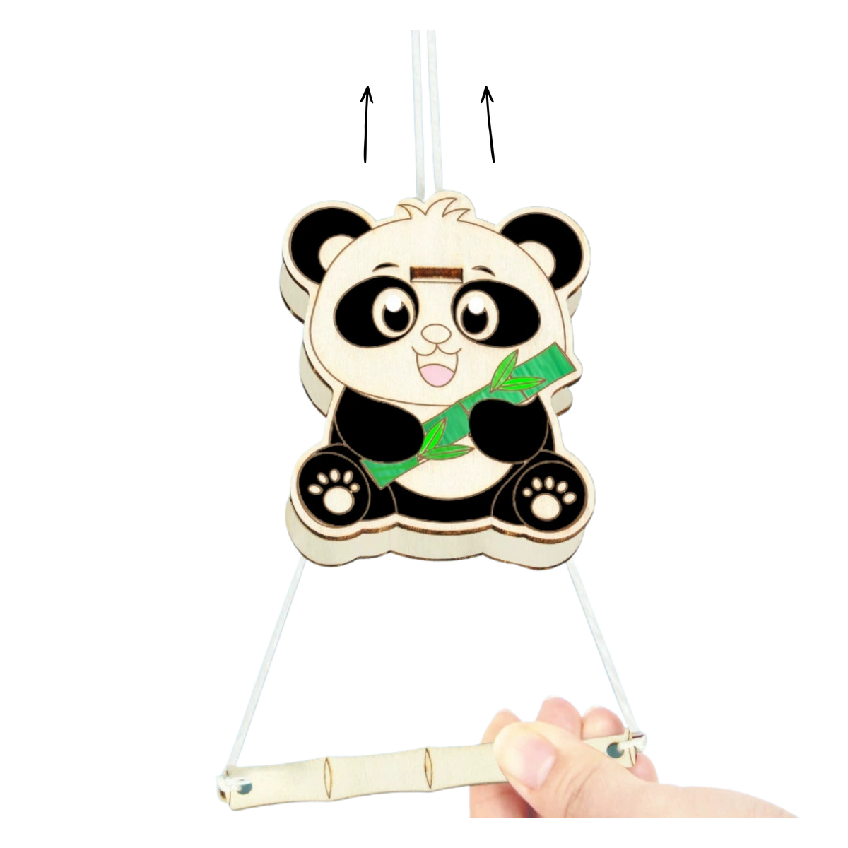 DIY Panda Friction Science Kit