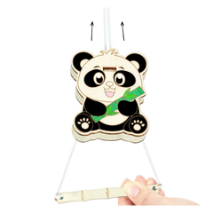 DIY Panda Friction Science Kit