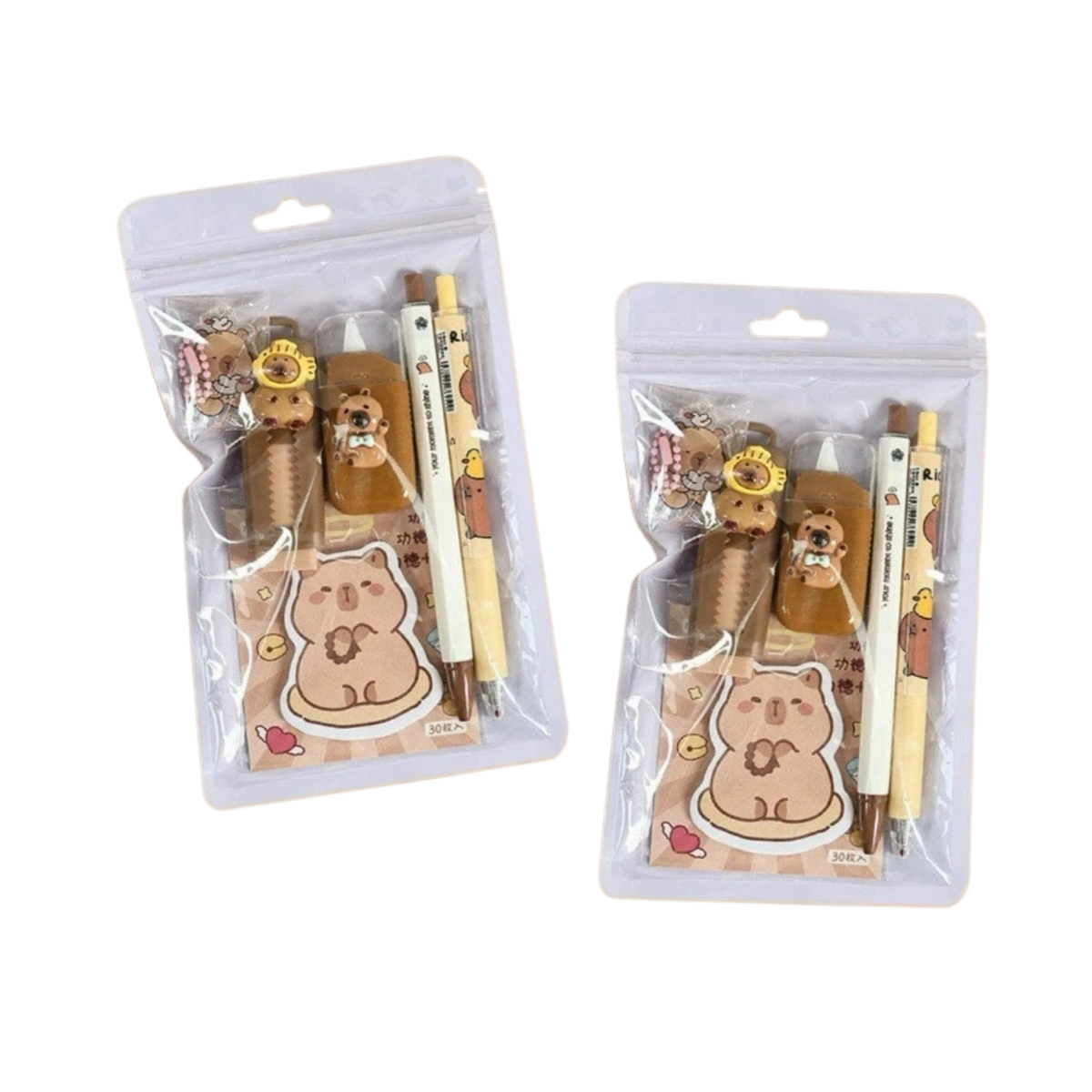 Capybara Gift Bag