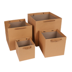 Square Paper Gift Bag (Deliver in 4-6 weeks)