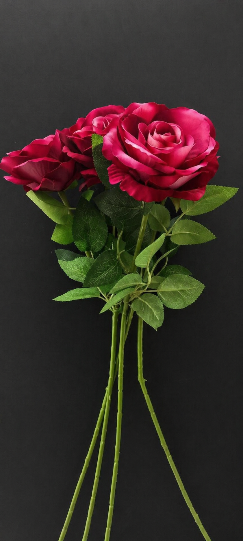 30 inch Single stem Rose Red And Pink