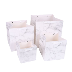 Square Paper Gift Bag (Deliver in 4-6 weeks)