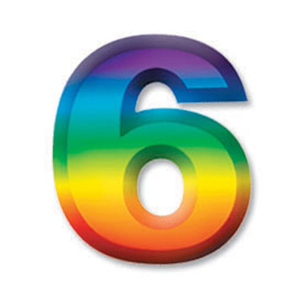 Plastic 3D Number "6" 11" (EACH)