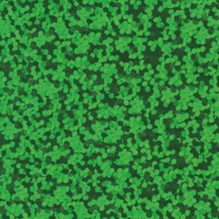 Gimme5 - L750A - GREEN GLAM