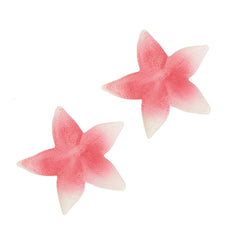 Sea Starfish - Plastic 7.5" (EACH)