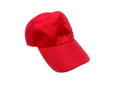 Canvas Cap - Adjustable