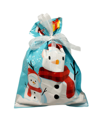 Christmas Theme Drawstring Gift Bag (Small‹¬?