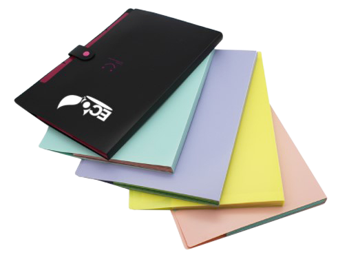 Customised Accordion Folder (Preorder)