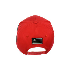 Go Green Leaf Embroidered Snapback Hat