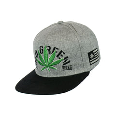 Go Green Leaf Embroidered Snapback Hat
