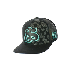 San Jose Embroidered Snapback Hat