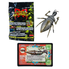 Power Buggz Pack (EACH)
