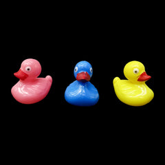Floating Plastic Ducks