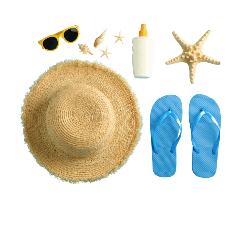 Flip Flops