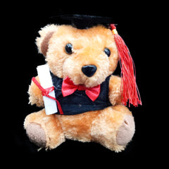 Graduation Teddy Bear