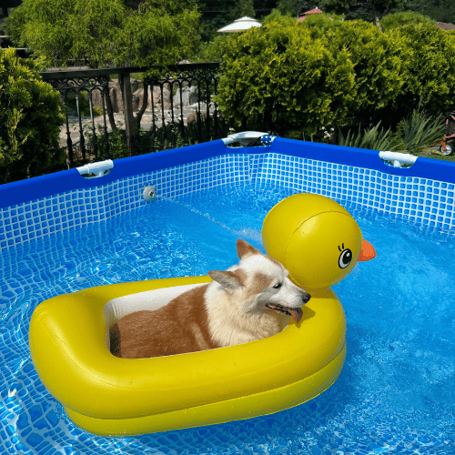 Inflatable