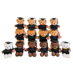 30cm Curly Graduation Bear (Deliver in 4-6 weeks)