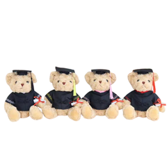 23cm Soft Toy Graduation Bear (Deliver in 4-6 weeks)