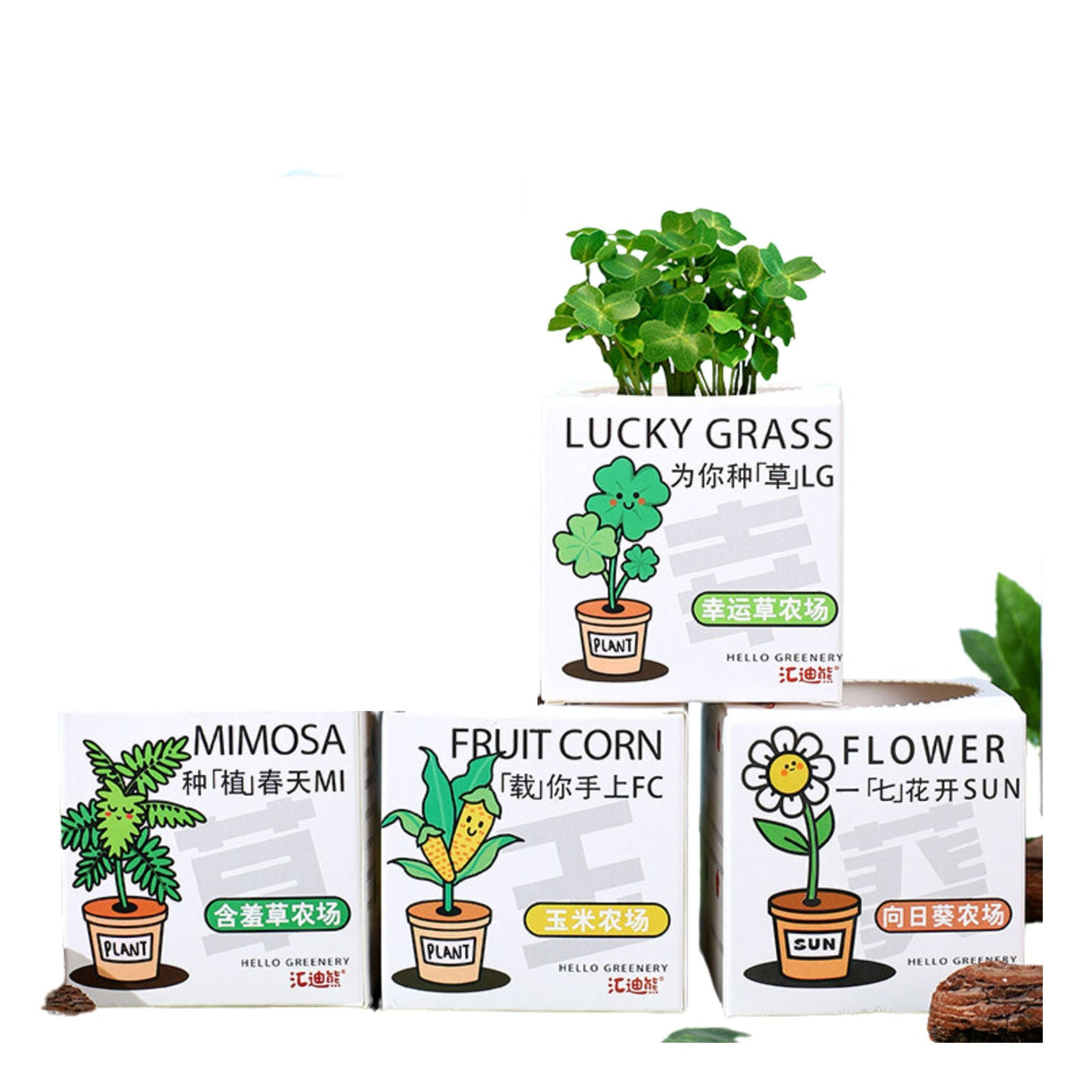 DIY Plant Grow It Yourself